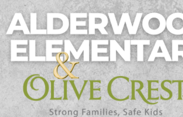 olive alderwood