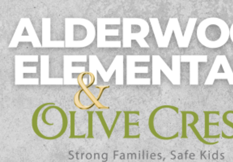 olive alderwood